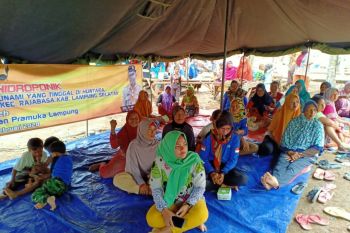 Kwarda Pramuka Lampung bantu pulihkan perekonomian warga desa Way Muli