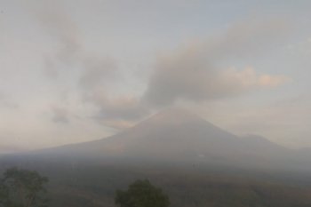 PVMBG: Gunung Semeru luncurkan tujuh kali guguran lava pijar