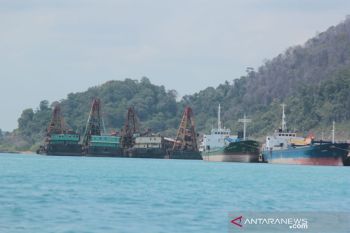 100 orang TKA Bintan Alumina tertahan di China
