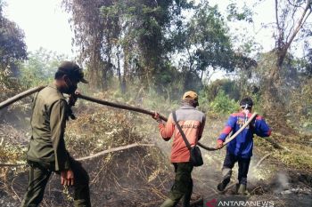 Tujuh hektare lahan terbakar di Siak, pemadaman masih dilakukan