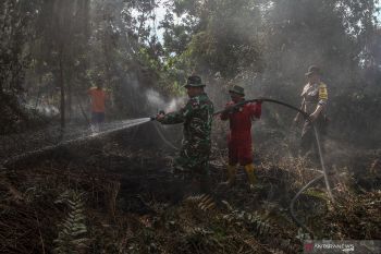 Enam kebakaran lahan di Agam terjadi sepanjang Februari
