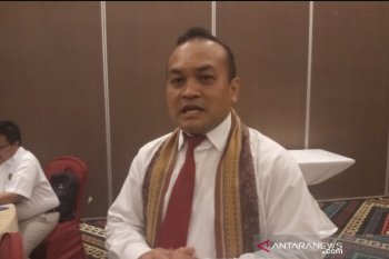 Tahun ini, 267 desa di NTT dapat penerangan listrik