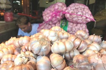 Waspadai inflasi akibat kenaikan harga bawang putih