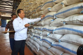 Bulog menjamin mampu atasi lonjakan permintaan beras