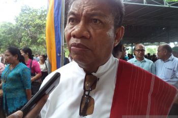 Sembilan anak meninggal akibat DBD di Sikka
