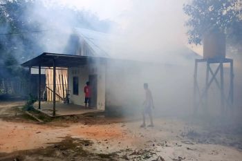 Penularan DBD di Sukamara alami penurunan