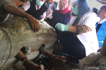 Dinsos Tulungagung pantau perkembangan kondisi tiga ODGJ dipasung