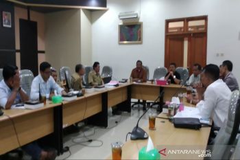 Pemkab Kulon Progo didorong berkomunikasi dengan Puro Pakualaman soal listrik