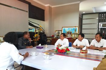 PLN perkuat kapasitas pembangkit dukung pembangunan PLBN Maritaing