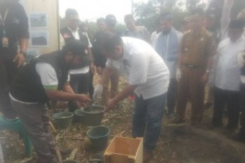 ACT realisasikan pembangun hunian sementara di Lebak