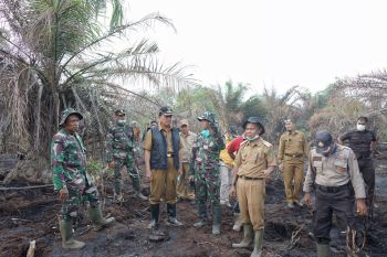 Dua hektare lahan milik warga di Inhil terbakar