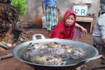 Kearifan lokal masyarakat Wakatobi dalam menjaga alam