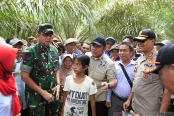 Petinggi Sumsel tinjau  desa lokasi gajah ngamuk