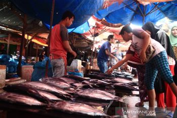 HARGA IKAN MASIH NORMAL DI PADANG