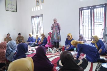 Ketua TPP PKK Waykanan sosialisasi pencegahan pelecehan terhadap anak