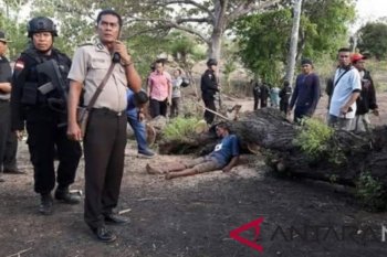 Konflik antarwarga memperebutkan lahan timbulkan korban jiwa di Pulau Adonara NTT
