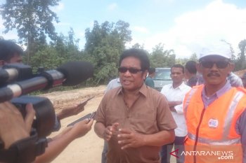 DPR mendrong realisasi pembangunan jembatan antarpulau di Sultra