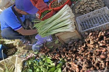 Permintaan tinggi, harga jahe dan temulawak di Madiun naik