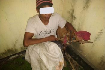 Kepergok bekap kambing di NTB, La One harus berurusan dengan polisi