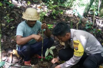 Pemda, TNI dan Polri di Dompu tanam pohon di sekitar mata air
