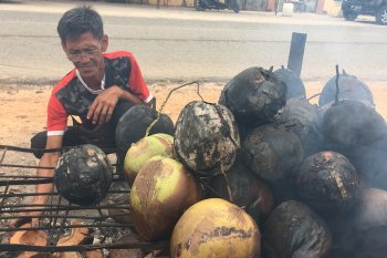 Kelapa bakar