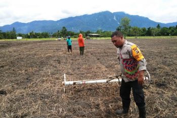 Bhabinkamtibmas Polsek Sentani bersama kelompok tani berdayakan lahan tidur