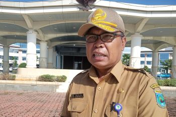 Tim ekonomi Papua Barat diharap dapat dorong pertumbuhan UMKM