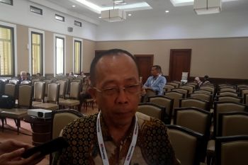 Pemerintah dukung investor dari Norwegia kembangkan EBT