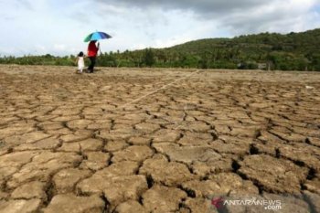 BMKG imbau daerah berpotensi musim kemarau lebih kering untuk waspada termasuk Sultra