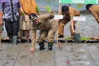 Kota Solok jadi lokasi kunjungan peserta Penas Tani