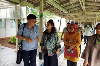 250 orang dengan riwayat perjalanan luar negeri disebutkan  sehat