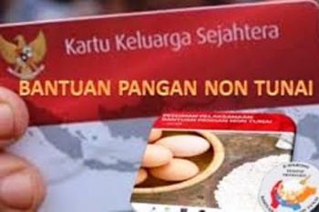 Bulog Papua realisasikan penyaluran program bantuan sembako 227 ton