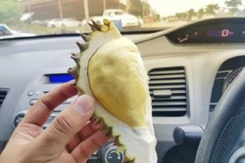 Durian dan nangka bisa dimanfaatkan jadi komponen baterai mobil listrik masa depan?