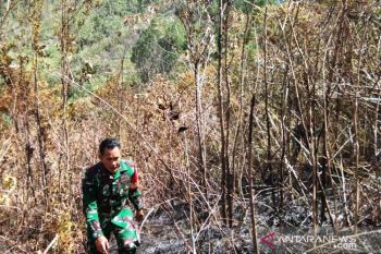 Dua hektare lahan di Agam terbakar, penyebab belum diketahui