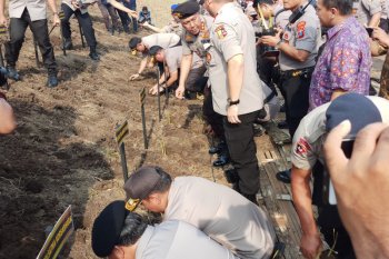 Kabaharkam Polri tanam 60 ribu batang rumput vetiver di Sidoarjo
