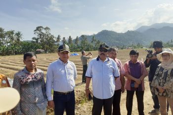 Ada padi bisa cegah stunting, bisa dilihat saat Penas KTNA