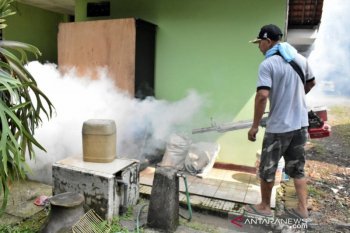 Cegah DBD dan demam dengue, jangan bosan selalu bersihkan rumah