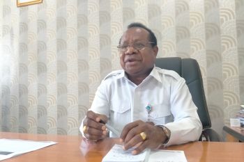 LPMP Papua : banyak guru SD belum bergelar sarjana