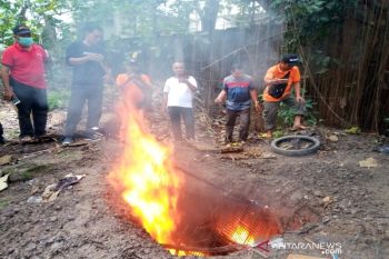 DPKPP-BKSDA memusnahkan seratusan hewan kelelawar di Solo