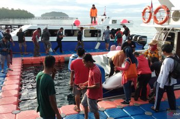 Wisatawan Italia bertahan di Raja Ampat karena penerbangan ditutup