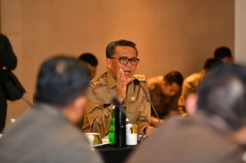 Gubernur Sulsel tunjuk kepala BPBD jadi Ketua Gugus Pencegahan COVID-19