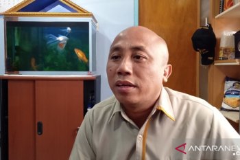 Bulog Wamena: stok beras di delapan kabupaten pegunungan tengah Papua aman
