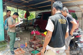 BKSDA Agam data burung peliharaan warga