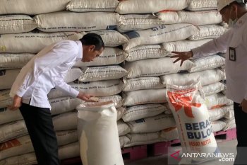 Bulog jamin kecukupan stok pangan di Riau hingga enam bulan mendatang