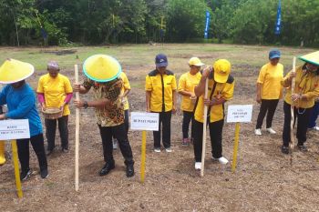 Kabupaten Poso  galakkan Gerakan Tanam Kedelai