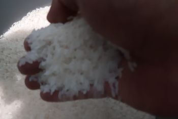 Swalayan Tanjungpinang batasi pembelian sembako cegah kelangkaan