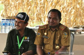 Parigi Moutong  target produksi jagung 118 ribu ton tahun 2020