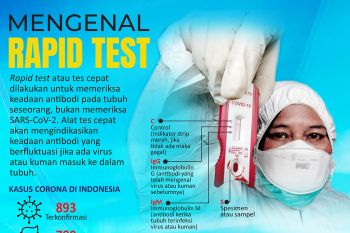 Mengenal Rapid Test