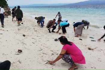 KKP paparkan hasil investigasi ikan terdampar