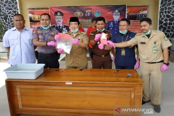 Wabup Kotim ingatkan masyarakat jangan tergiur bisnis narkoba